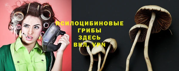 2c-b Навашино