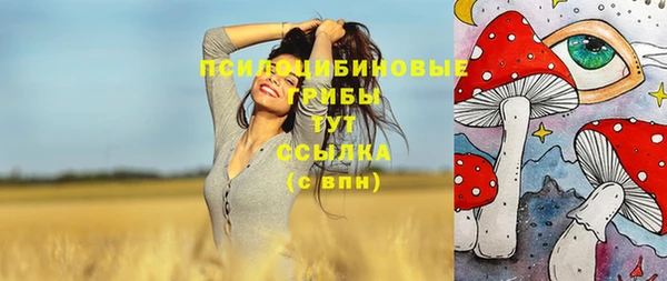 эйфоретик Надым