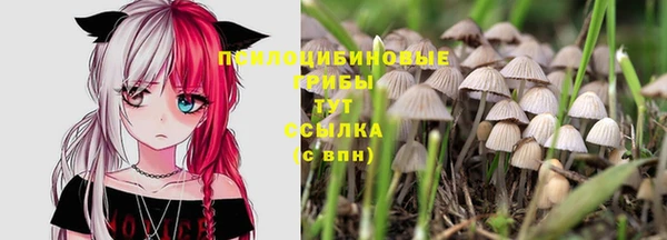 2c-b Навашино